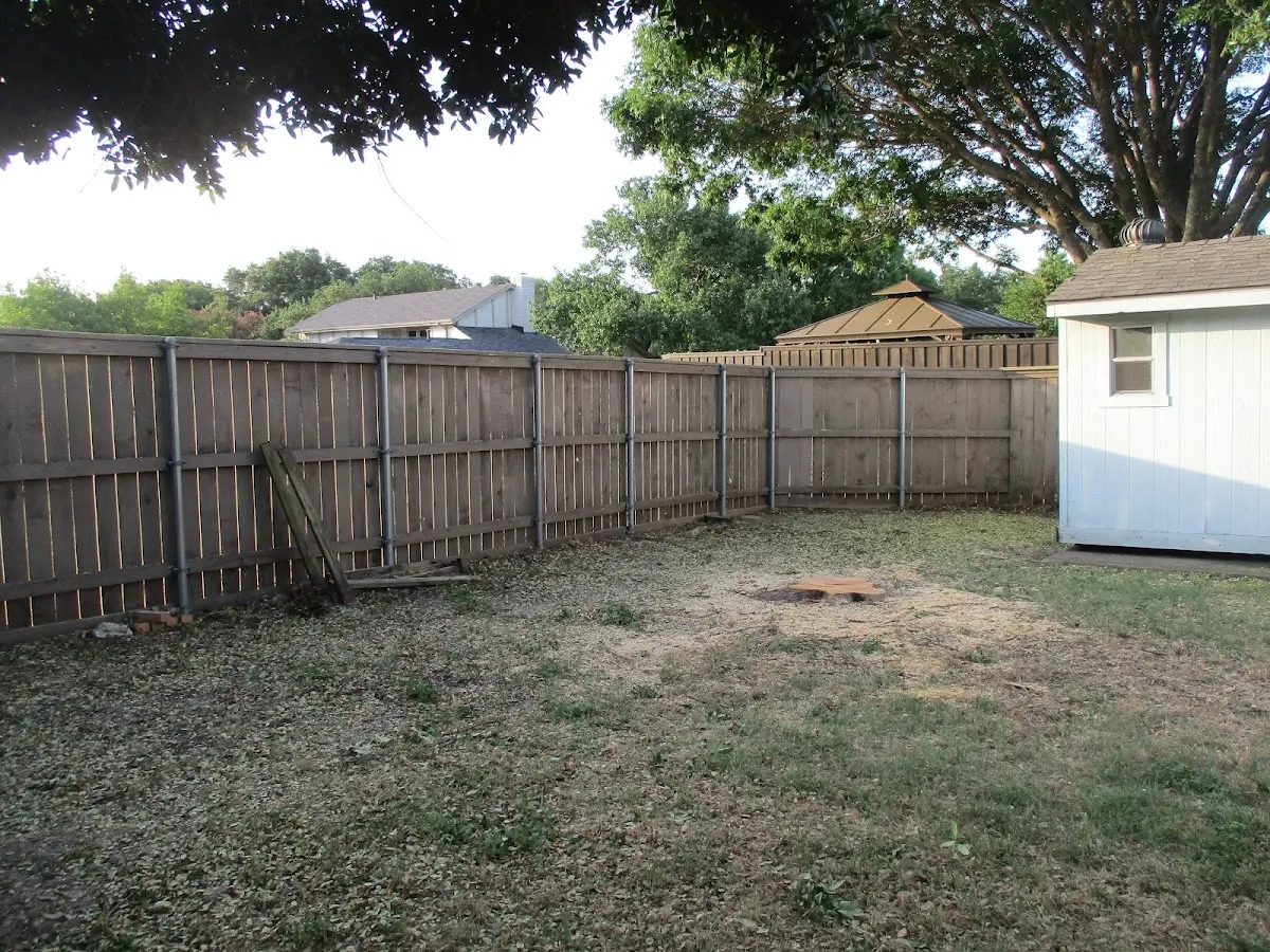 Cleared yard after professional tree removal in Crabtree